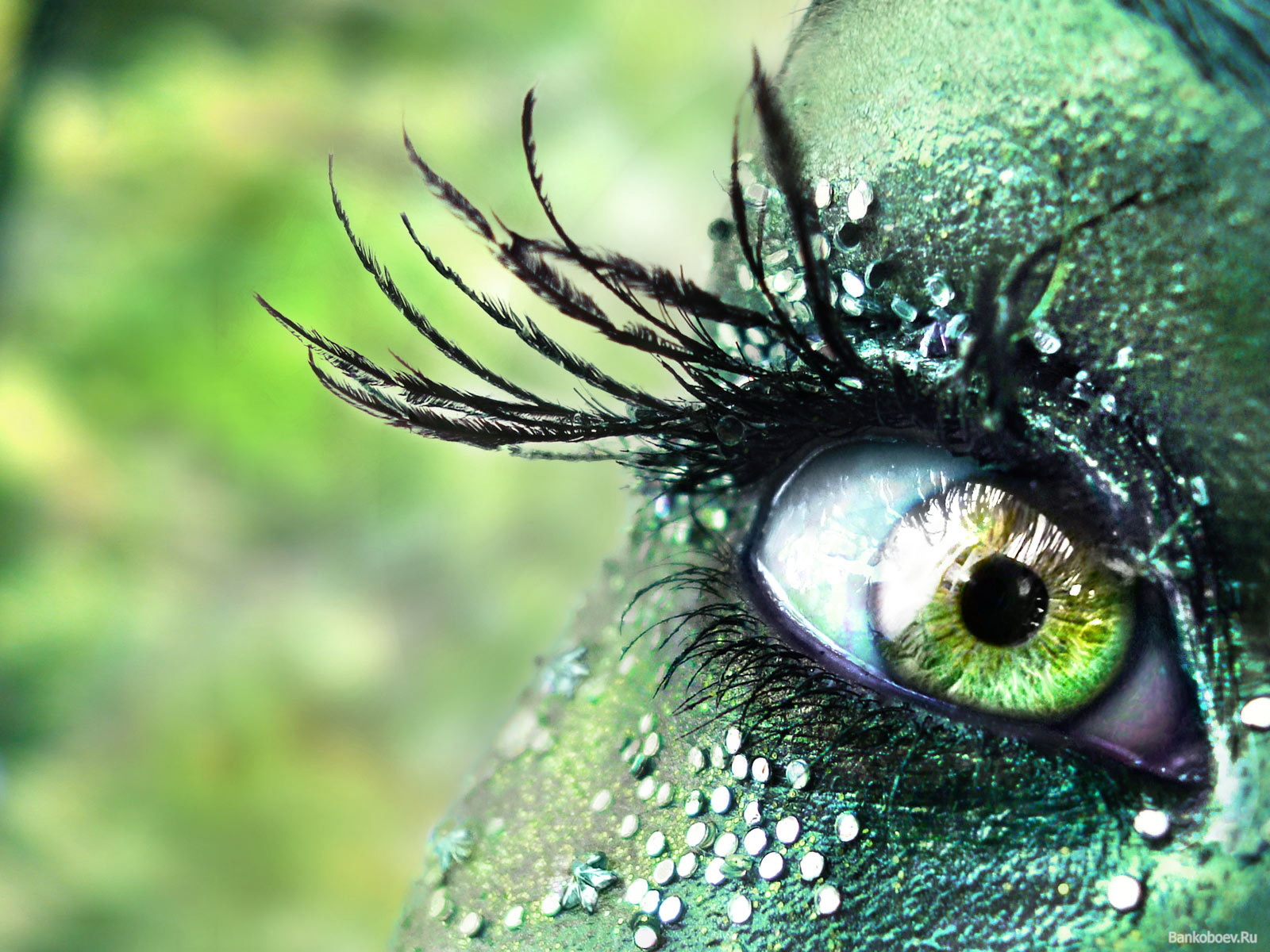 Greencolour eye photos