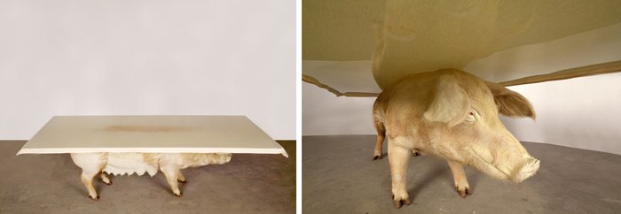 bizarre pieces of furniture that look like animals (16)