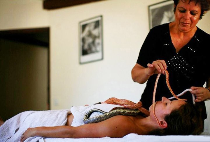 Massage By Snakes Treatment (16)