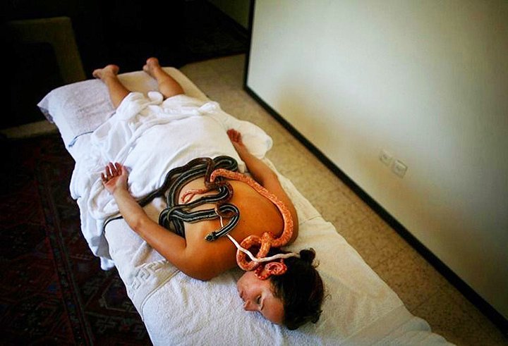 Massage By Snakes Treatment (11)
