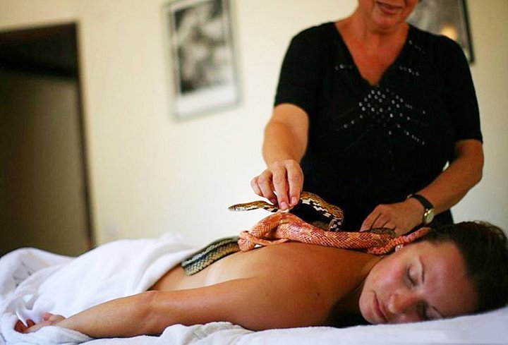 Massage By Snakes Treatment (2)