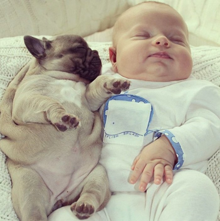 baby with french bulldog puppies (2)