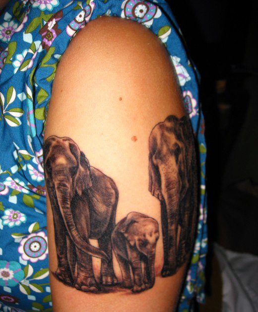 Elephants tags tattoo ideas | World Tattoo Gallery