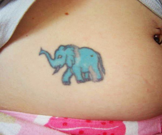 Elephant-Tattoo-Design-for-Female-Stomach-520×433 | inspiration photos