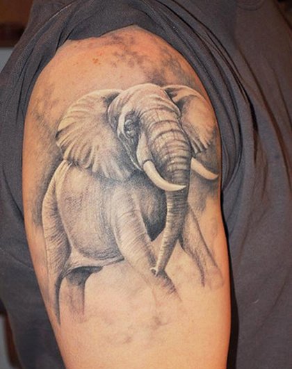Rocco's Elephant and Rafiki's Tree — Ryan Thompson - Prophecy Tattoo